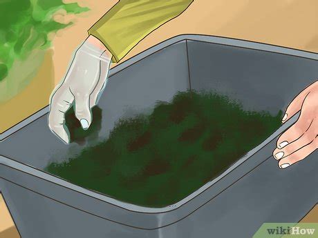How to Compost Dog Poop: 7 Steps (with Pictures) .